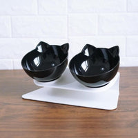HKM-2643901 Transparent Cat Bowl with Inclined Design for Easy Eating and Comfort
