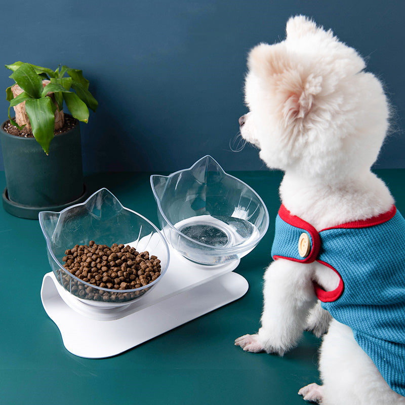 HKM-2643901 Transparent Cat Bowl with Inclined Design for Easy Eating and Comfort