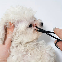 HKM-2645181 Pet-Friendly Eye Grooming Brush with Soft Tear Stain Remover and Ambidextrous Design for Dogs and Cats