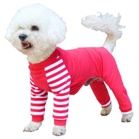 HKM-2646077 Cotton Teddy Bear Costume for Dogs - Cozy Four-Legged Outfit