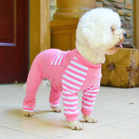 HKM-2646077 Cotton Teddy Bear Costume for Dogs - Cozy Four-Legged Outfit