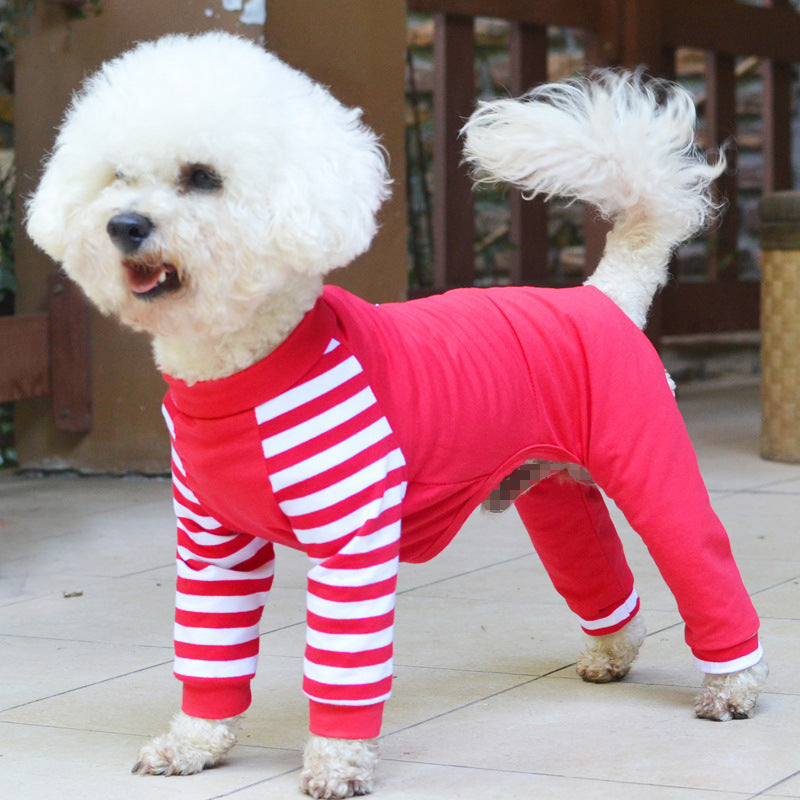 HKM-2646077 Cotton Teddy Bear Costume for Dogs - Cozy Four-Legged Outfit