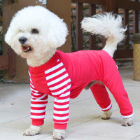 HKM-2646077 Cotton Teddy Bear Costume for Dogs - Cozy Four-Legged Outfit