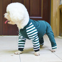 HKM-2646077 Cotton Teddy Bear Costume for Dogs - Cozy Four-Legged Outfit