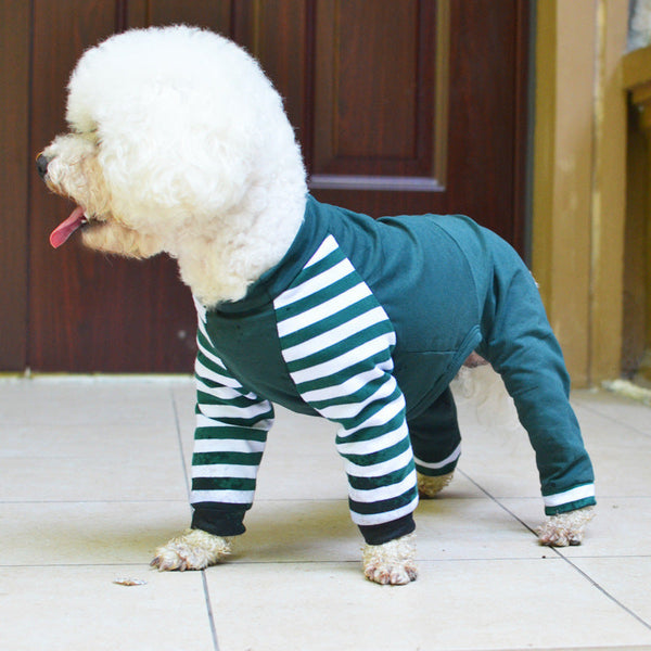 HKM-2646077 Cotton Teddy Bear Costume for Dogs - Cozy Four-Legged Outfit