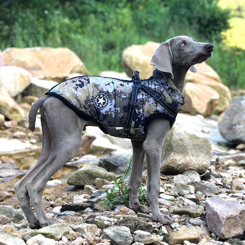 HKM-2648125 Waterproof Reflective Forest Green Cotton-Padded Jacket for Large Dogs