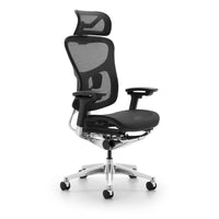 HKM-265491 Ergonomic High Back Mesh Office Chair with 4D Adjustable Armrests
