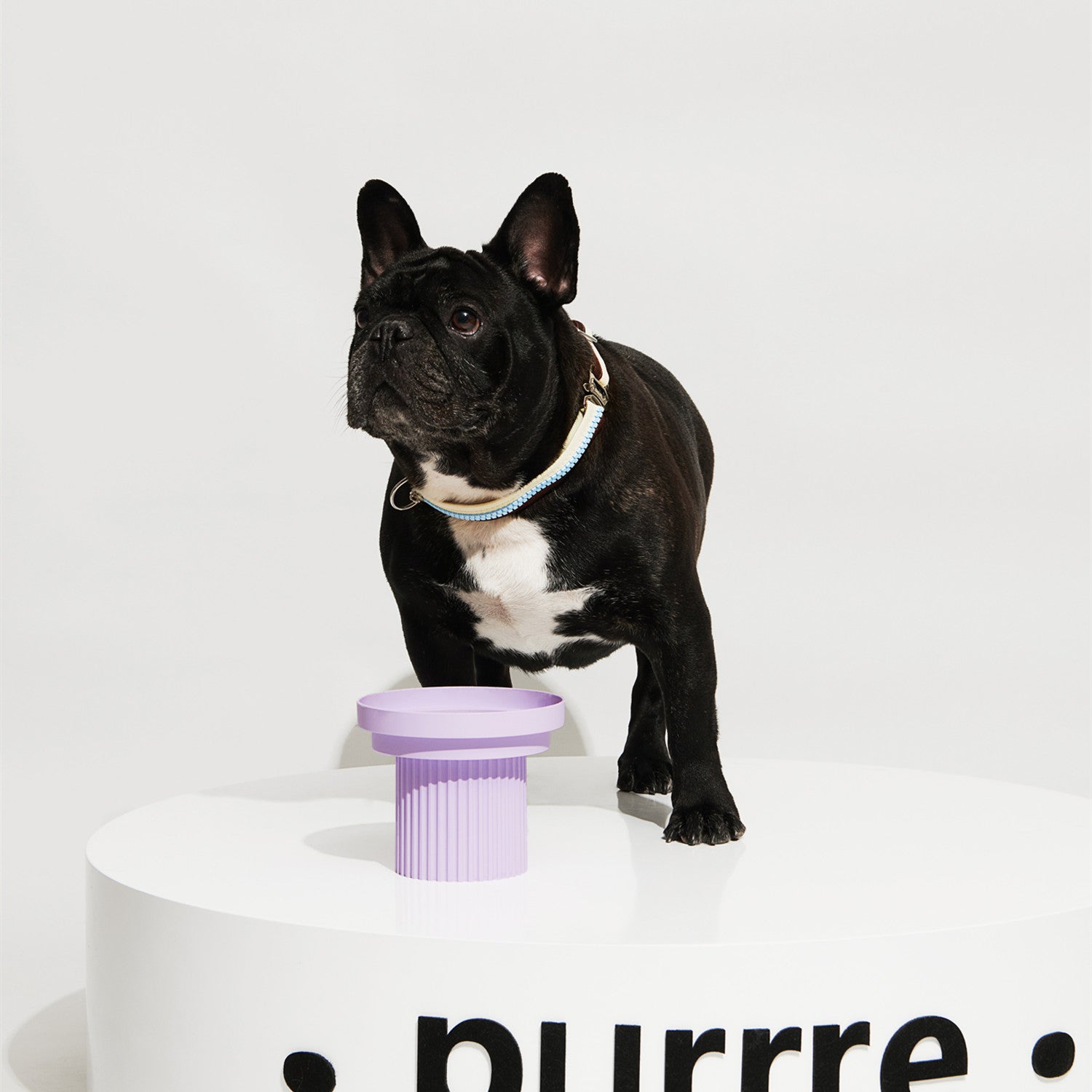 HKM-2661181 Cervical Vertebra High Foot Bowl for Cats - Anti-Overturning Design in Various Colors