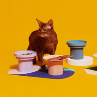 HKM-2661181 Cervical Vertebra High Foot Bowl for Cats - Anti-Overturning Design in Various Colors