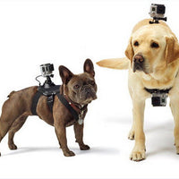 HKM-2664253 Dog Chest Strap Harness for GoPro - Adjustable, Comfortable, Removable for Small Dogs, Water Washable Material