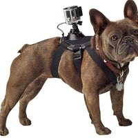 HKM-2664253 Dog Chest Strap Harness for GoPro - Adjustable, Comfortable, Removable for Small Dogs, Water Washable Material