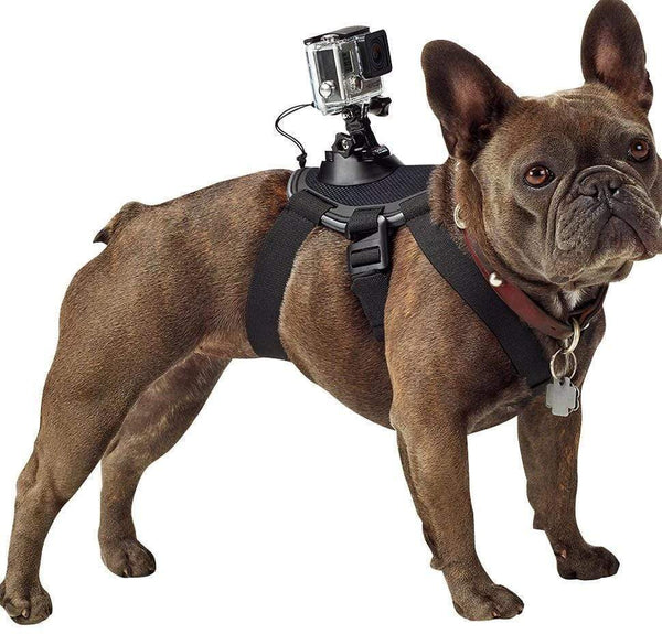 HKM-2664253 Dog Chest Strap Harness for GoPro - Adjustable, Comfortable, Removable for Small Dogs, Water Washable Material