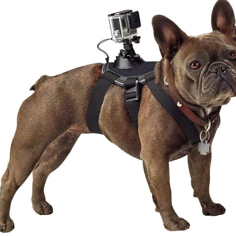 HKM-2664253 Dog Chest Strap Harness for GoPro - Adjustable, Comfortable, Removable for Small Dogs, Water Washable Material
