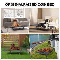 HKM-2669373 Elevated Dog Bed with Textilene Mesh and Powder-Coated Steel, Ideal for Indoor and Outdoor Use