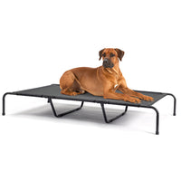 HKM-2669373 Elevated Dog Bed with Textilene Mesh and Powder-Coated Steel, Ideal for Indoor and Outdoor Use