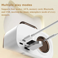 HKM-267539 Portable Mini Karaoke Speaker for Home and Outdoor Use – Wireless Family Singing Device
