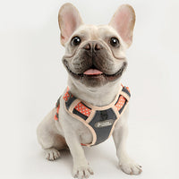 HKM-2675773 Adjustable Dog Vest with Drawstring for Chest and Back Support