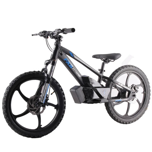 HKM-268115 20 Inch Electric Mini Balance Bike for Kids and Teens - 600W Motor, Hydraulic Disc Brakes, Aluminum Alloy Frame