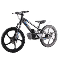 HKM-268115 20 Inch Electric Mini Balance Bike for Kids and Teens - 600W Motor, Hydraulic Disc Brakes, Aluminum Alloy Frame