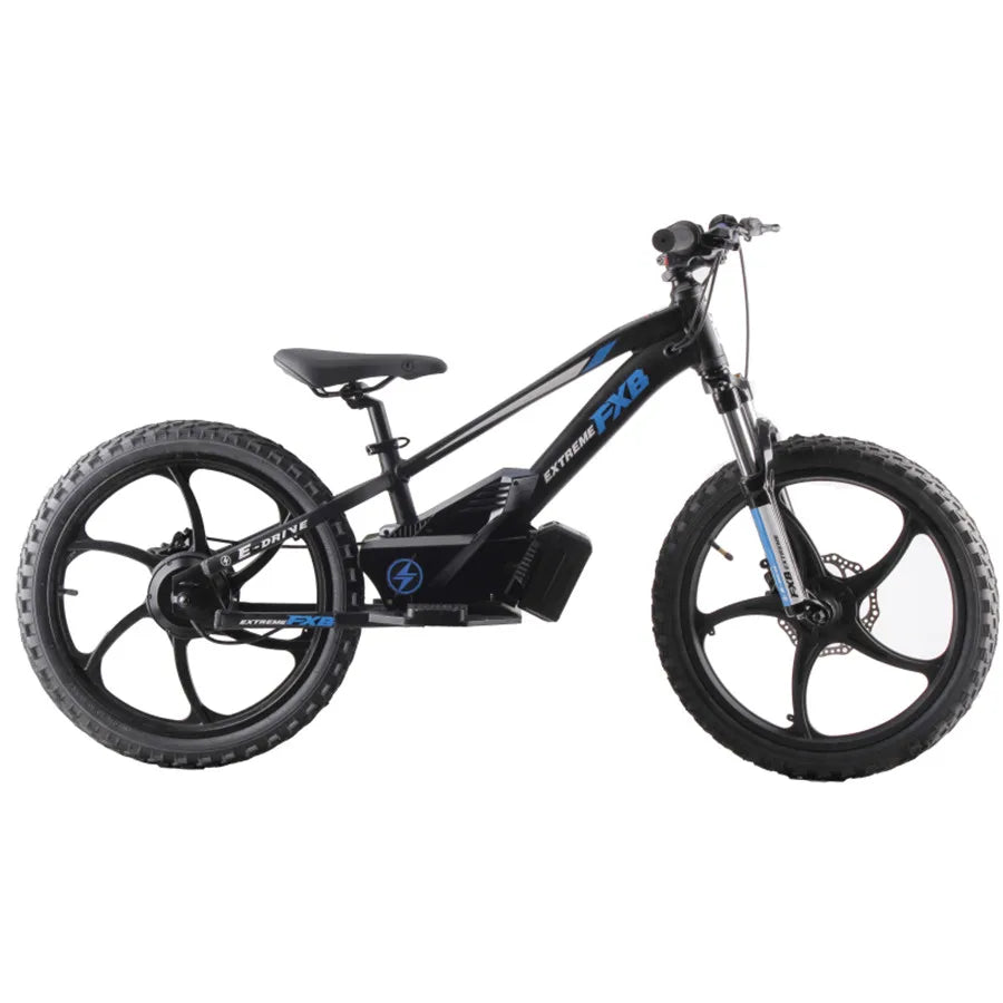 HKM-268115 20 Inch Electric Mini Balance Bike for Kids and Teens - 600W Motor, Hydraulic Disc Brakes, Aluminum Alloy Frame
