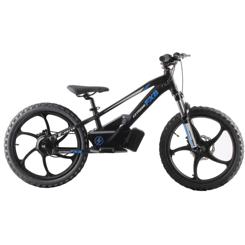 HKM-268115 20 Inch Electric Mini Balance Bike for Kids and Teens - 600W Motor, Hydraulic Disc Brakes, Aluminum Alloy Frame