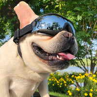 HKM-2683837 Stylish Pet Goggles for Dogs - Windproof Sunglasses in Various Sizes and Colors