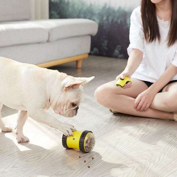 HKM-2687037 Remote Control Food Leaking Car with Fun Toy Mouse - Electric Toy for Kids