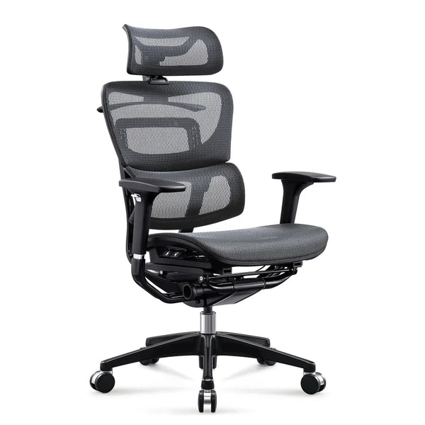HKM-269139 Ergonomic Mesh High Back Office Chair with 3D Adjustable Armrests, BIFMA Certified