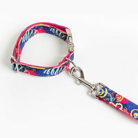 HKM-2691773 Red Graffiti Pet Collar and Traction Rope Set with Adjustable Metal Buckle