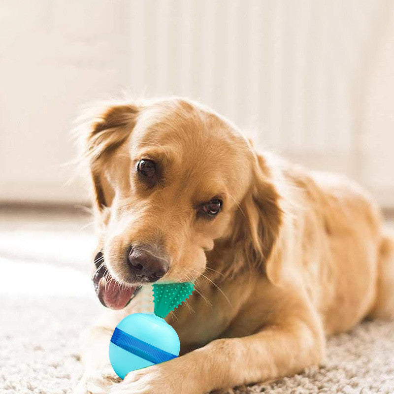 HKM-269459 Pet Does Not Fall Down The Leakage Of Food Ball Toys