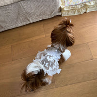 HKM-2696125 Breathable Anti-Shedding Satin Skirt for Dogs - Fashionable Minimalist Design in White, Blue, Pink
