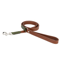 HKM-2697533 Rust Brown, Green Sink, and Orange Brown Puppy Collar and Traction Rope Set with Poop Picking Bags
