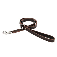 HKM-2697533 Rust Brown, Green Sink, and Orange Brown Puppy Collar and Traction Rope Set with Poop Picking Bags