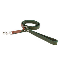 HKM-2697533 Rust Brown, Green Sink, and Orange Brown Puppy Collar and Traction Rope Set with Poop Picking Bags