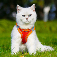 HKM-270035 Breathable Reflective Dog Harness with Traction Rope for Comfortable Walking