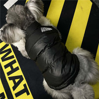 HKM-2701885 Cozy Black Down Jacket Sleeveless Vest for Puppies - Casual Pet Clothing