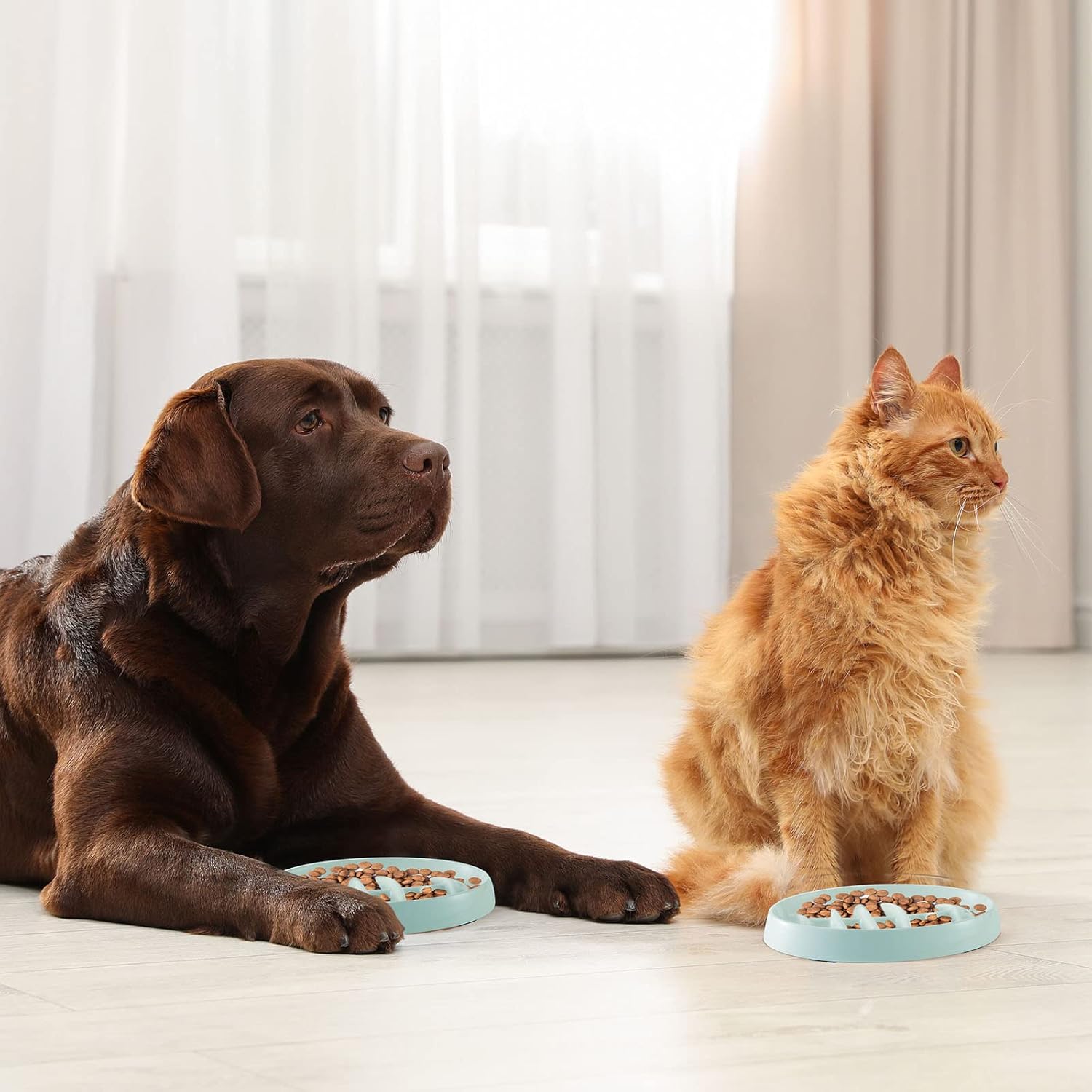 HKM-2703677 Fishbone Slow Feeder Bowl for Cats and Dogs ¨C Anti-Gulping Interactive Pet Dish