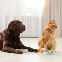 HKM-2703677 Fishbone Slow Feeder Bowl for Cats and Dogs ¨C Anti-Gulping Interactive Pet Dish