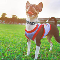 HKM-2705469 Rivet Adjustable PU Pet Collar - Multiple Sizes for Comfort and Fit