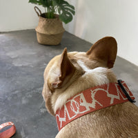 HKM-2708541 Adjustable Nylon Vest-style Collar and Chest Strap Set for Small to Medium Dogs