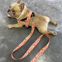 HKM-2708541 Adjustable Nylon Vest-style Collar and Chest Strap Set for Small to Medium Dogs