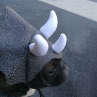 HKM-2714045 Triceratops Pet Hat - Fun Dinosaur Costume for Dogs and Cats, One Size Fits All