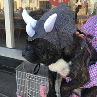 HKM-2714045 Triceratops Pet Hat - Fun Dinosaur Costume for Dogs and Cats, One Size Fits All