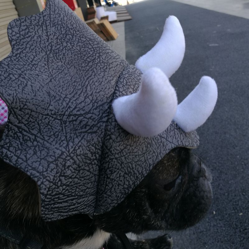 HKM-2714045 Triceratops Pet Hat - Fun Dinosaur Costume for Dogs and Cats, One Size Fits All