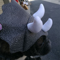HKM-2714045 Triceratops Pet Hat - Fun Dinosaur Costume for Dogs and Cats, One Size Fits All