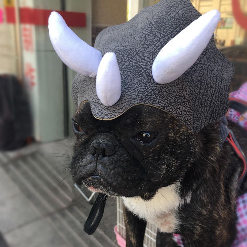 HKM-2714045 Triceratops Pet Hat - Fun Dinosaur Costume for Dogs and Cats, One Size Fits All