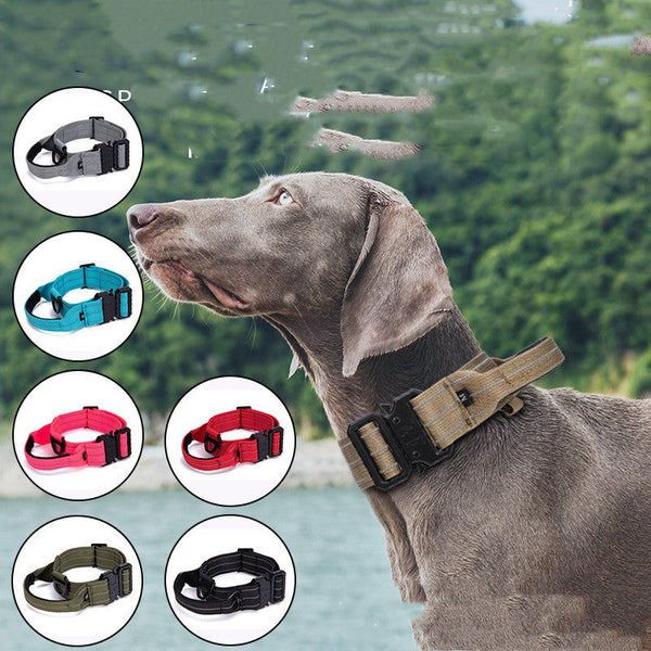 HKM-2716989 Reflective Quick Release Dog Collar in Multiple Colors for Safe Night Walks