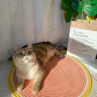 HKM-2718269 Cotton Pink Cat Climbing Frame with Sisal Scratching Board и Mat