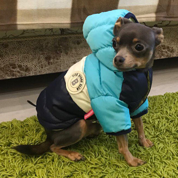 HKM-2719421 Waterproof Cotton Padded Jacket for Pets in Multiple Colors and Sizes