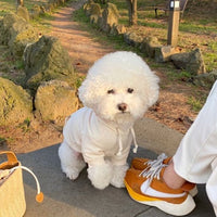 HKM-2720061 Cozy Cotton Dog Sweater in Multiple Colors for Year-Round Warmth